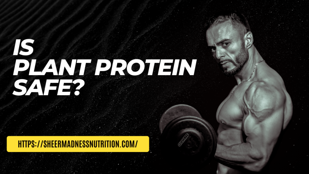 Is Plant protein safe?