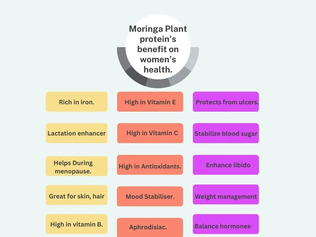 Moringa Protein Benefits for women health