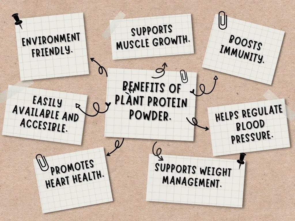 Benefits of Plant Protein Powder