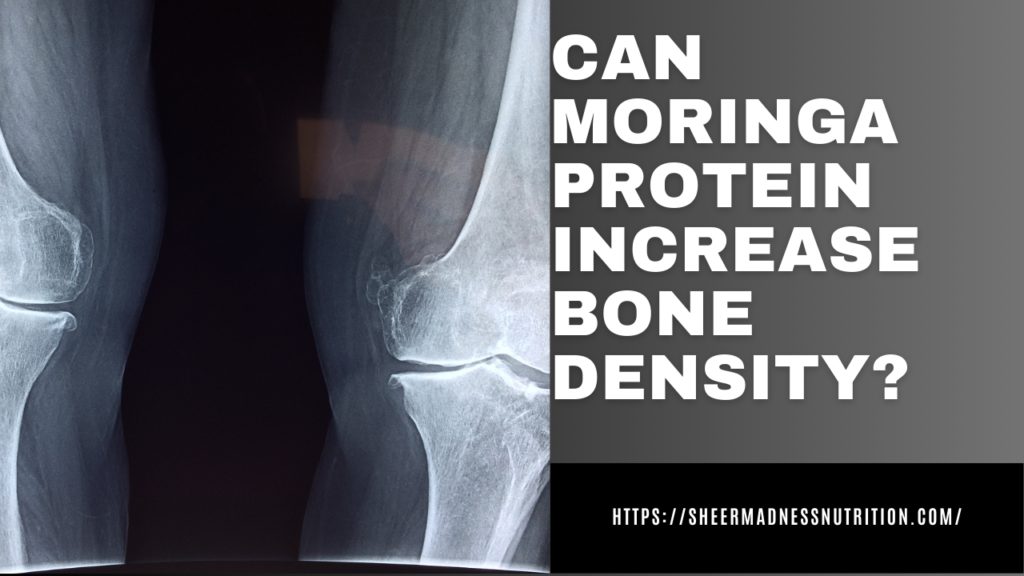 Can Moringa protein increase bone density?