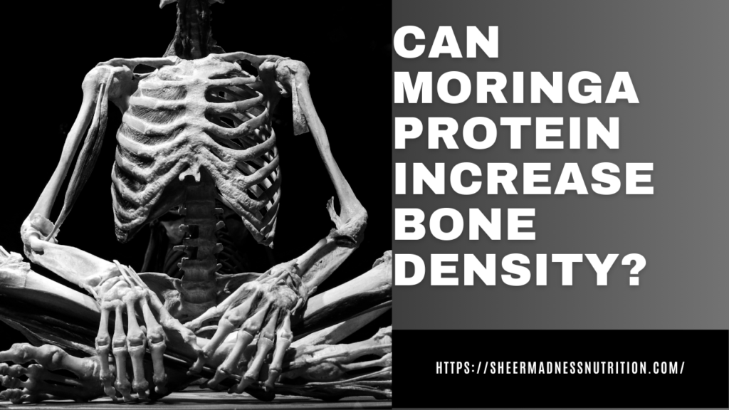 Can Moringa protein increase bone density?