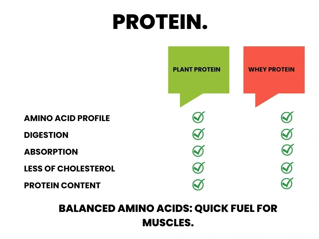 Comparison of Protein Quality between Whey and Plant Protein.