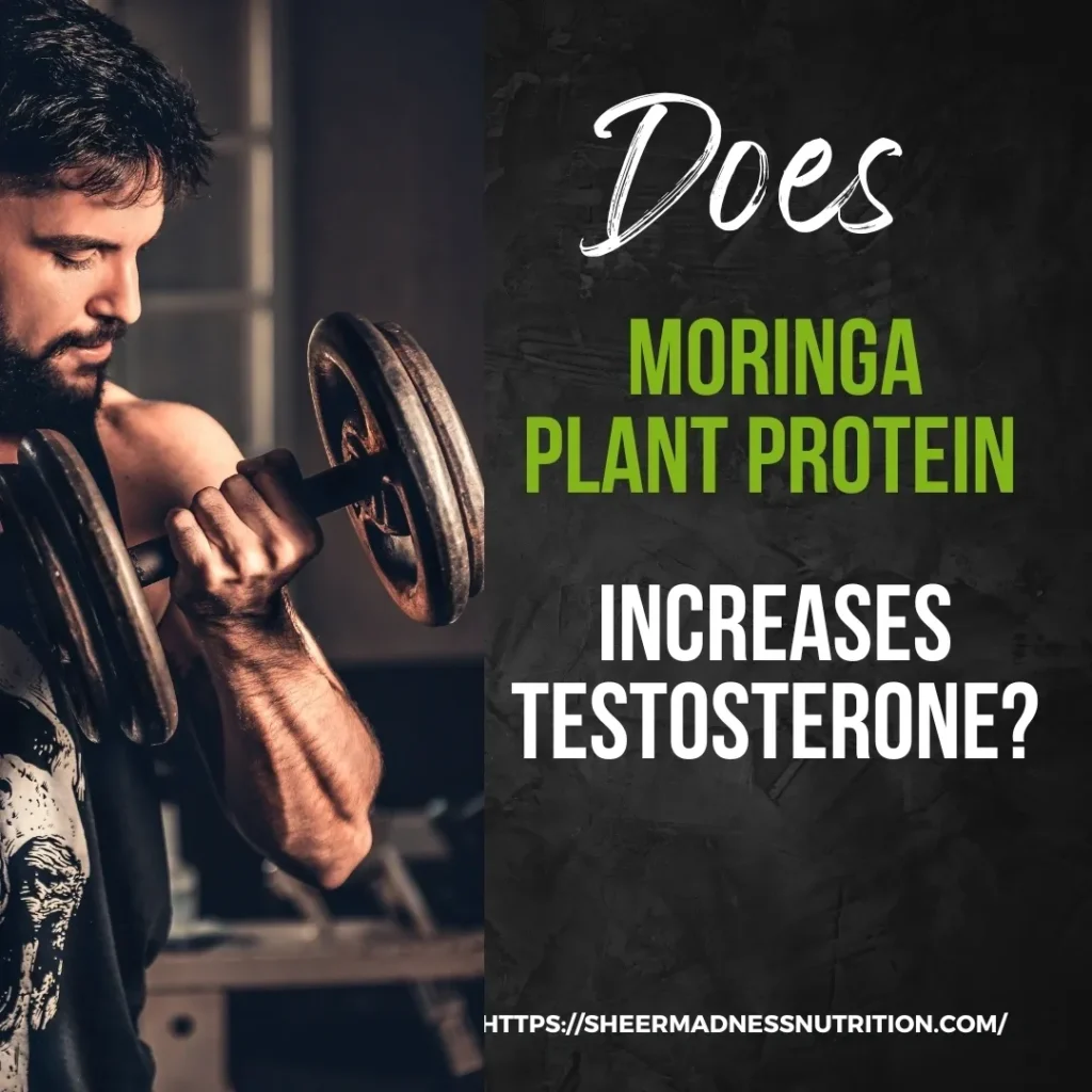 Does Moringa Plant Protein Increases Testosterone?