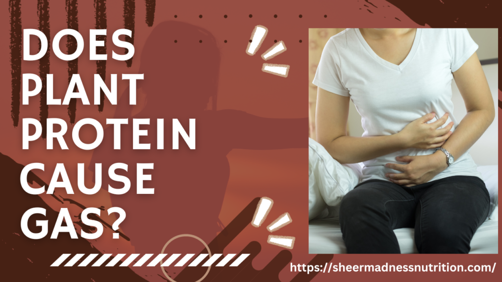 Does Plant Protein Cause Gas?