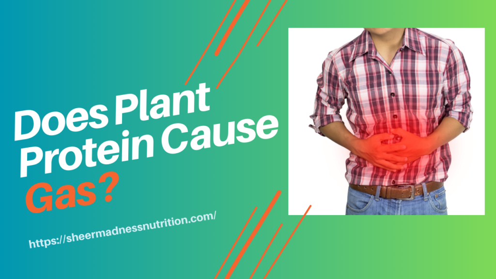 Does Plant Protein Cause Gas?
