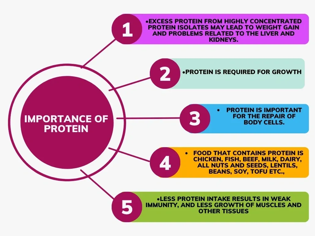 Importance of Protein.