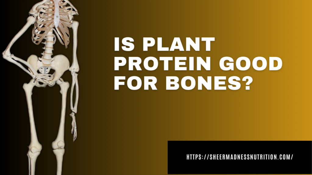 Is Plant Protein good for bones?
