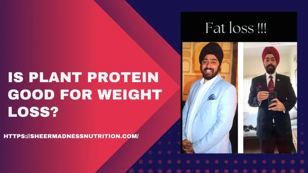 Is plant protein good for weight loss?