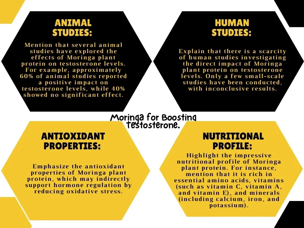 Moringa For Testosterone.