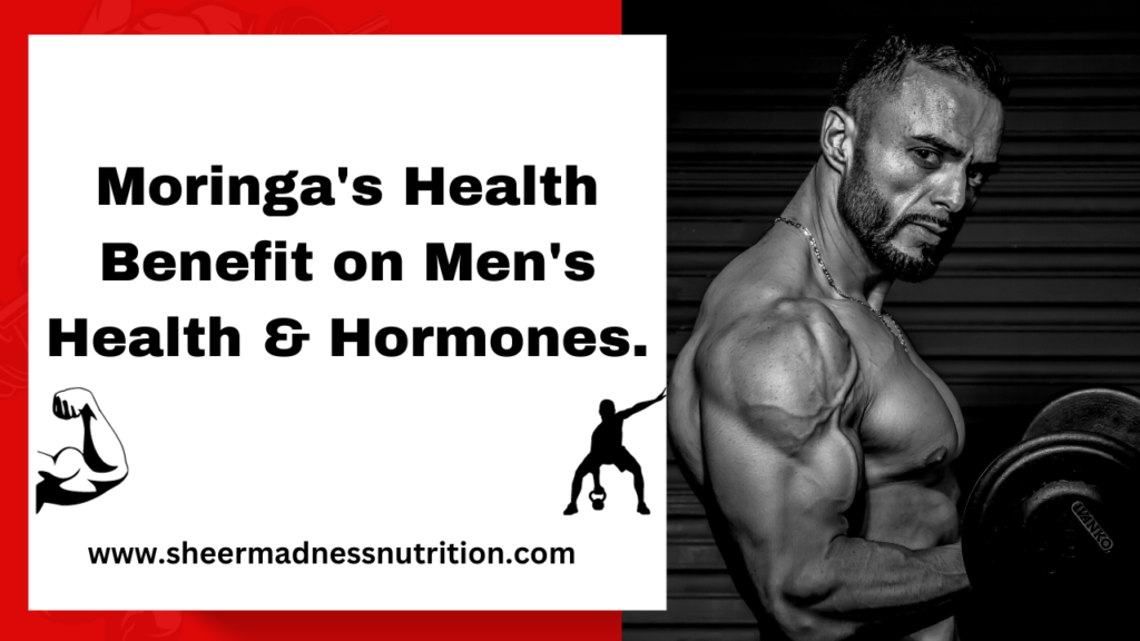 Moringa Plant proteins benefit for men Health and Hormones.
