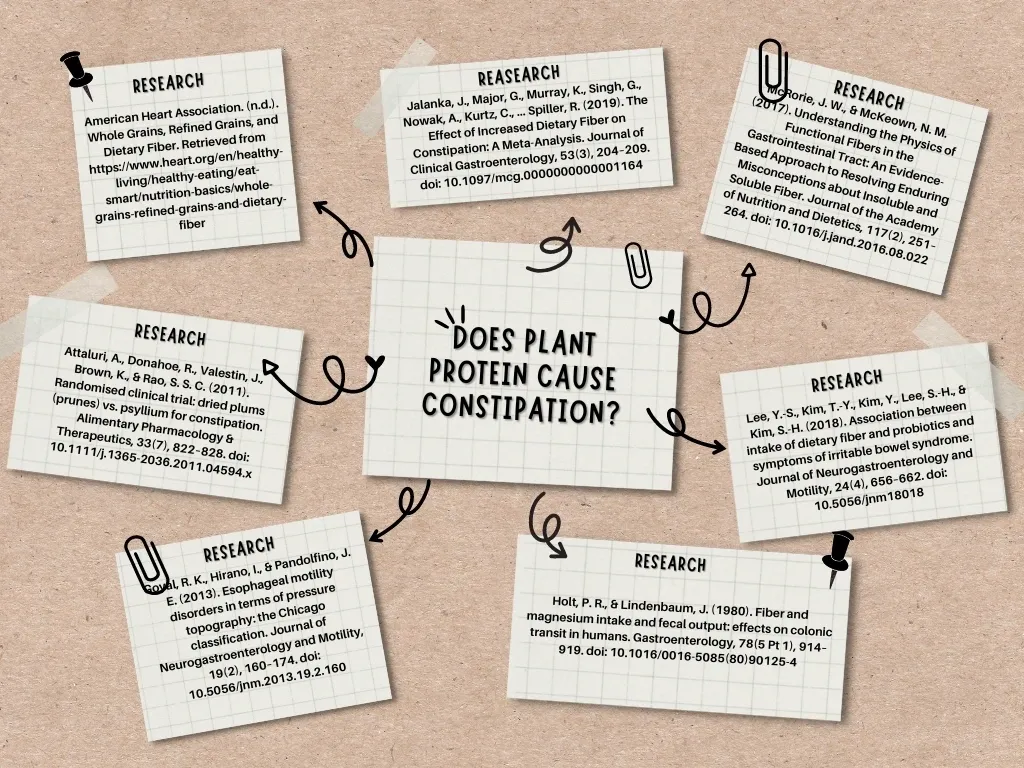 Research on constipation and plant protein