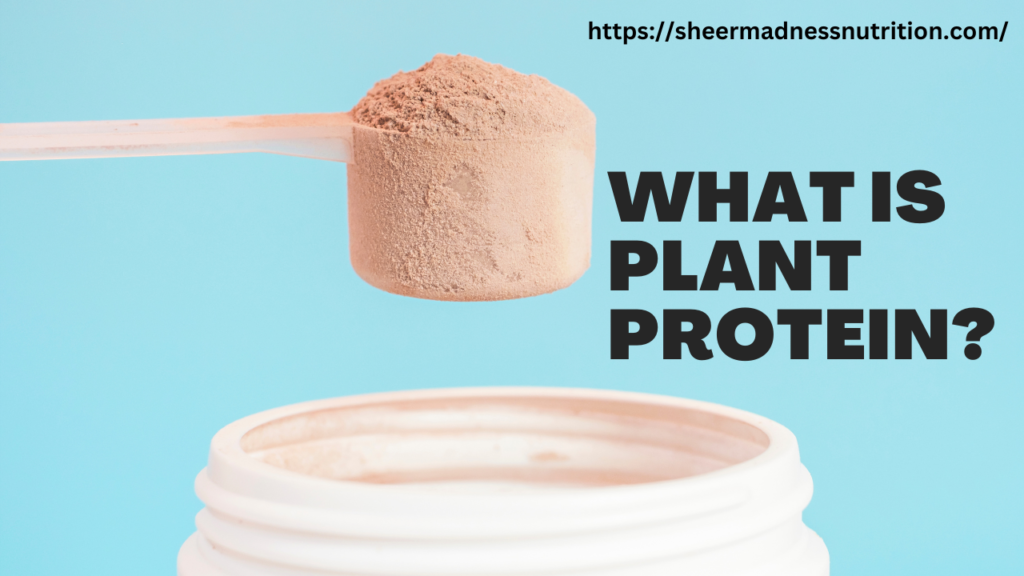 What is Plant protein?