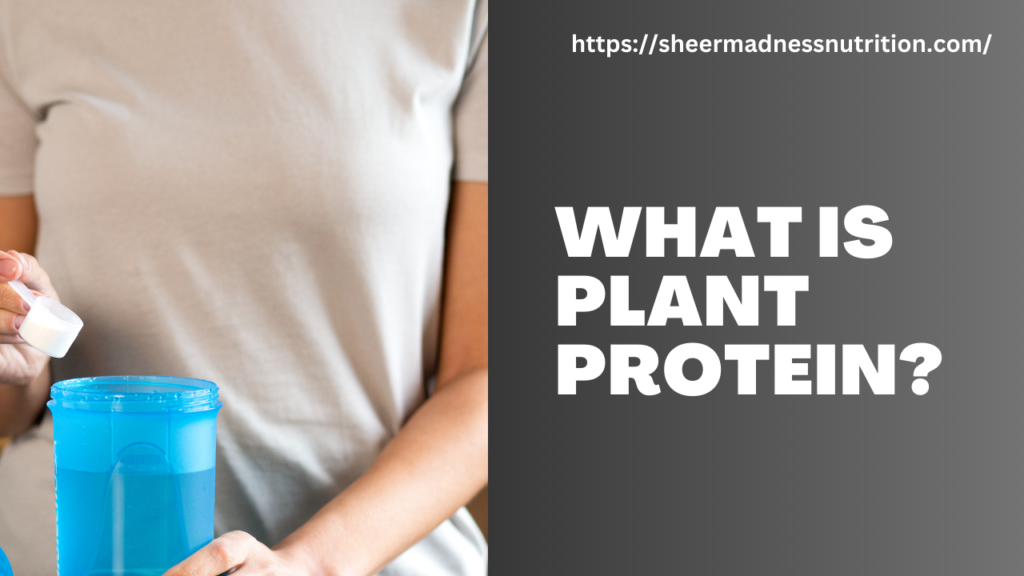 What is Plant protein?