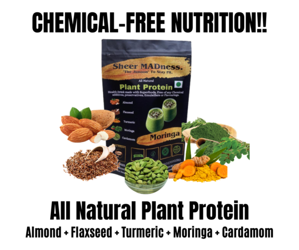 Plant Protein Moringa